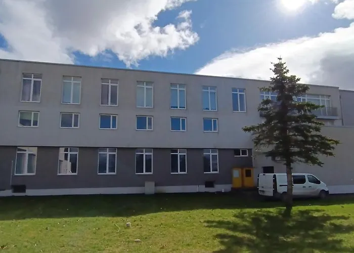 Sport & بيت شباب Vinni